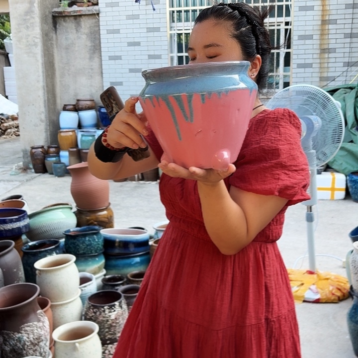 20/20瑕疵的一个盆