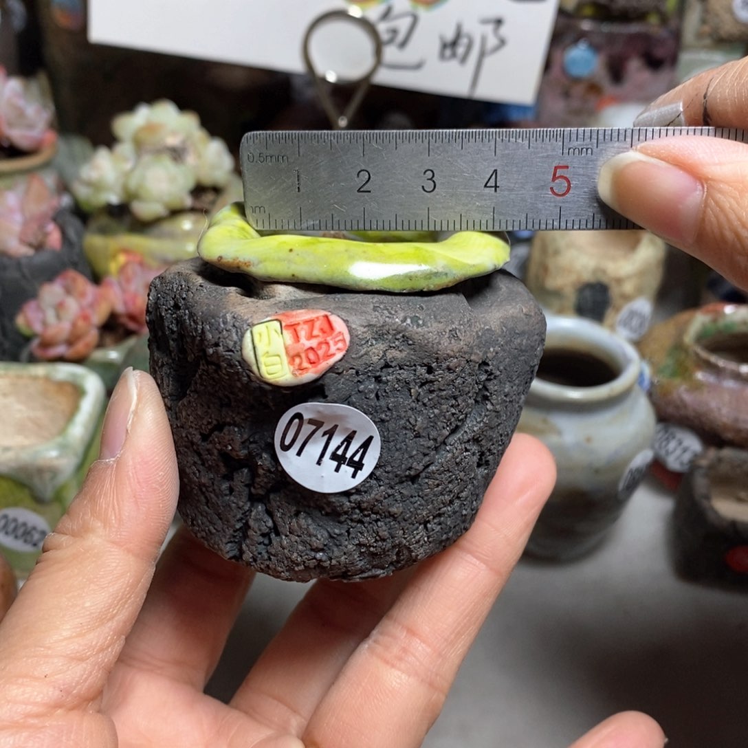 花盆拍3送一个小礼物