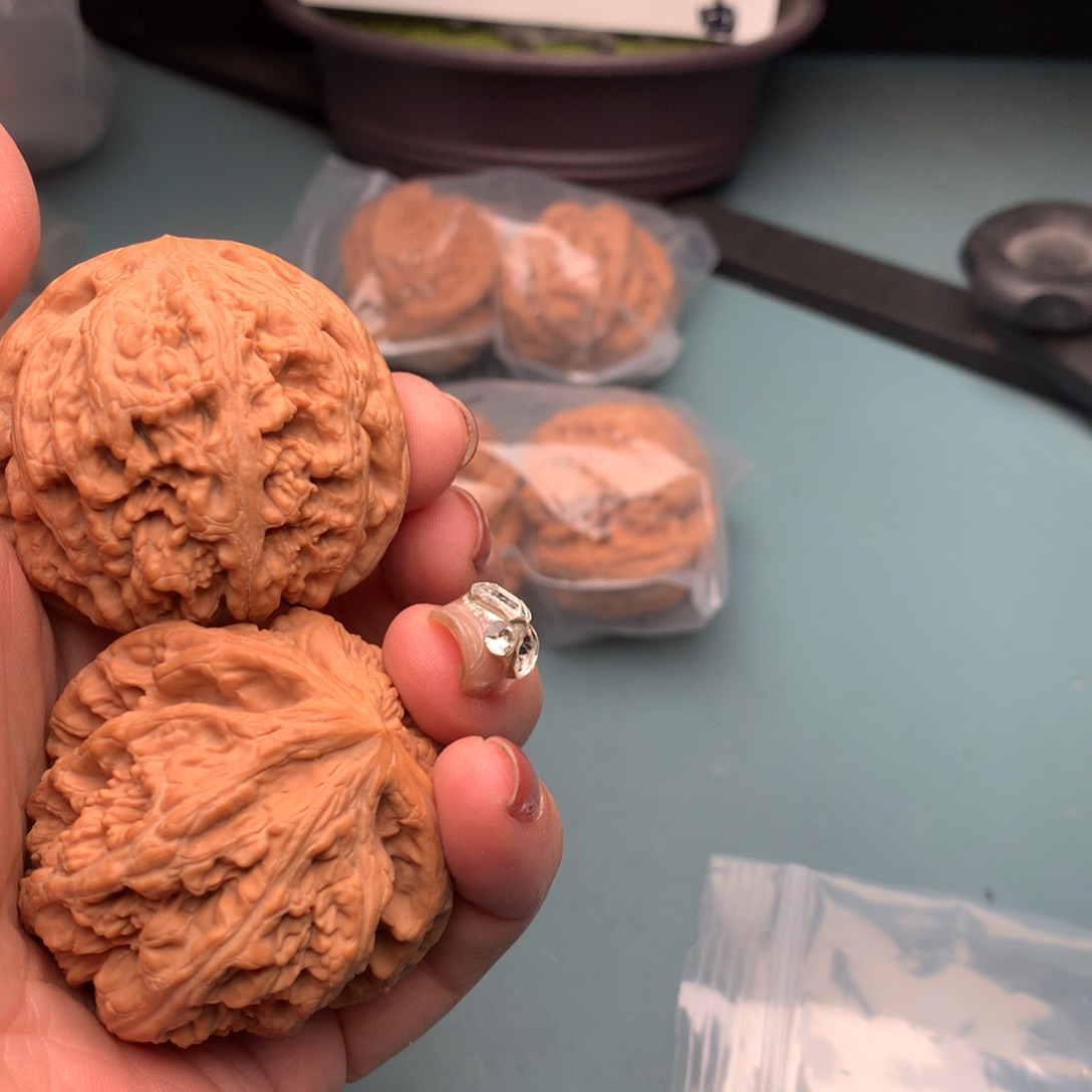 文玩核桃把件粗筋4849