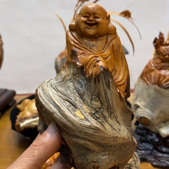 柏木（崖柏）太行崖柏