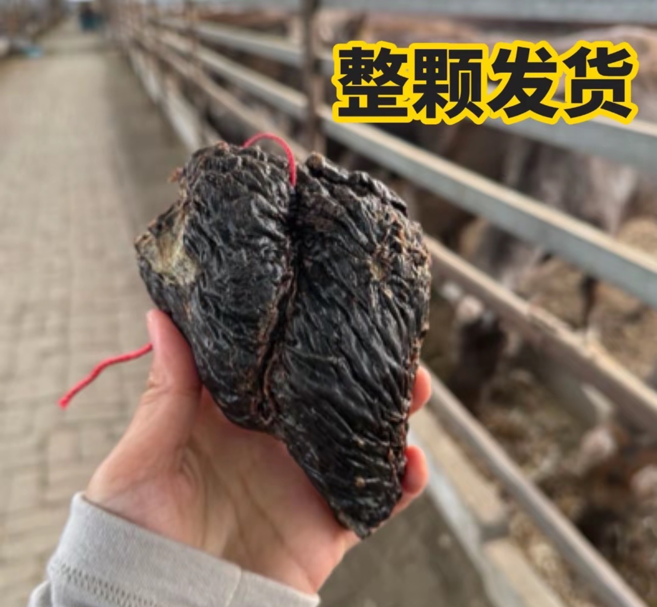 整颗发货 完整鹿心 每颗160克 鹿乡产地直发梅花鹿