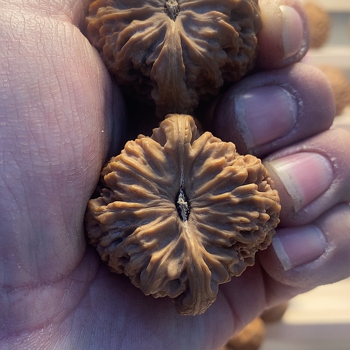 吊坠桃核涿鹿原产地老树一代南将石