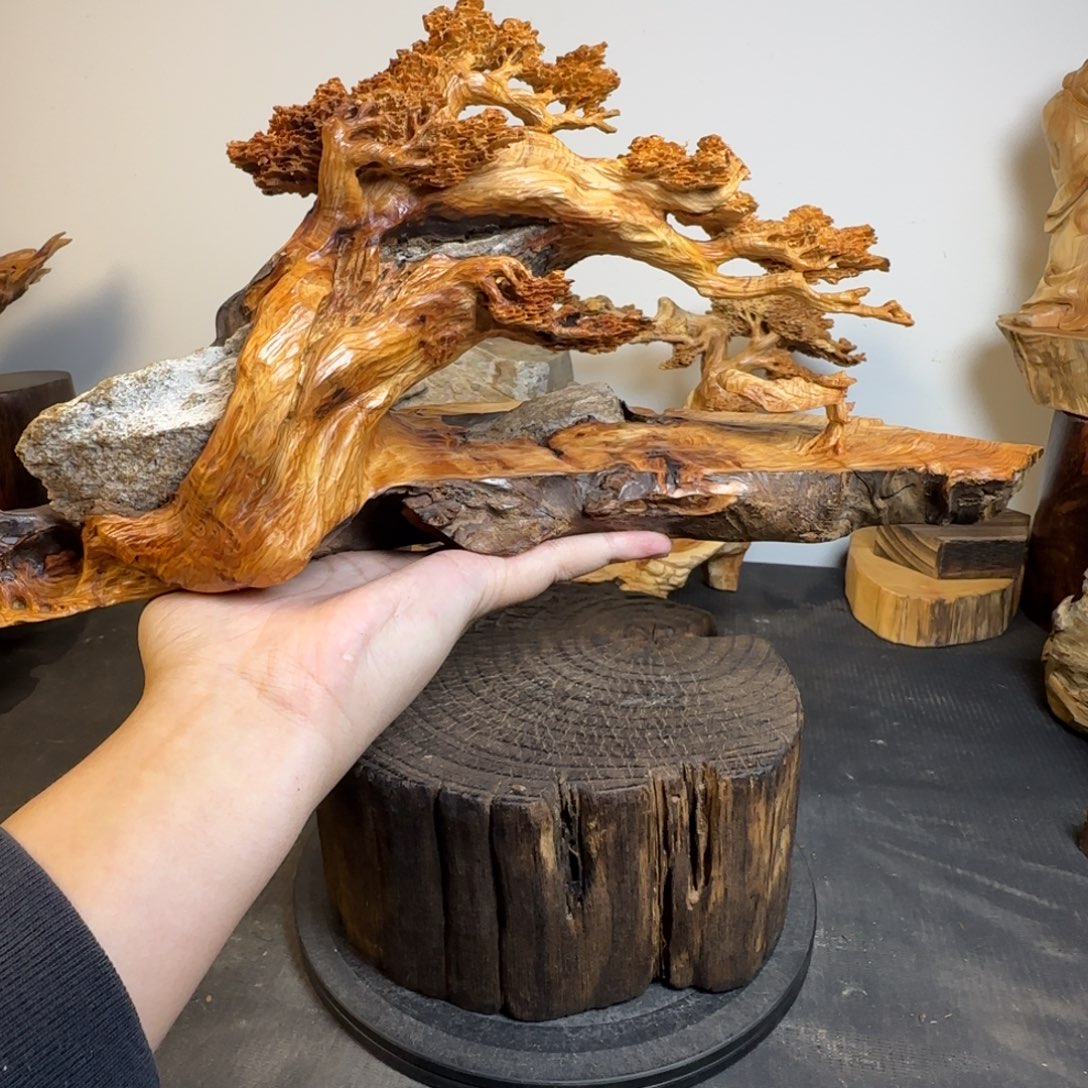 在***肉柏木（崖柏）aaaaaaaaa