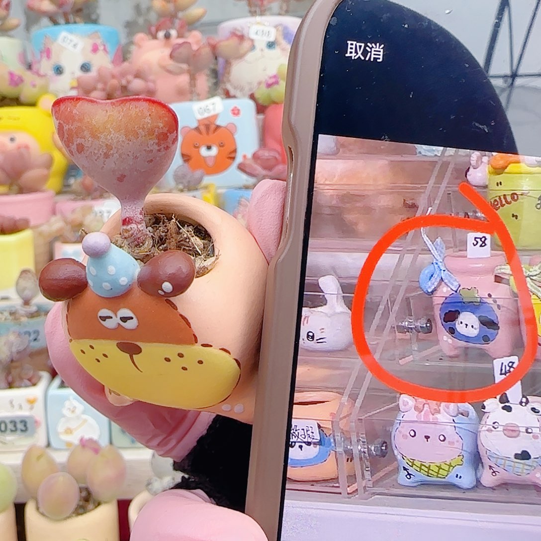 荷****L 爱心 种 小狗盆