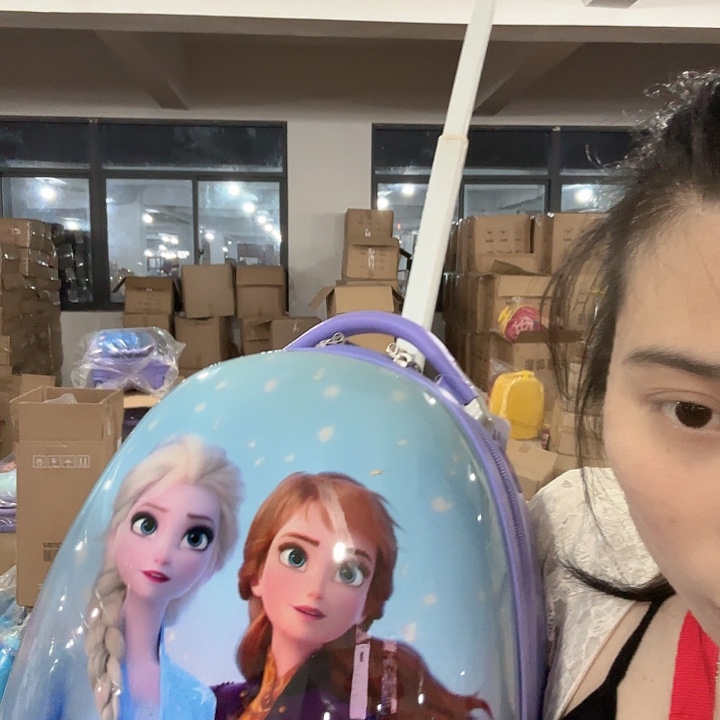 紫色2公主2轮行李箱