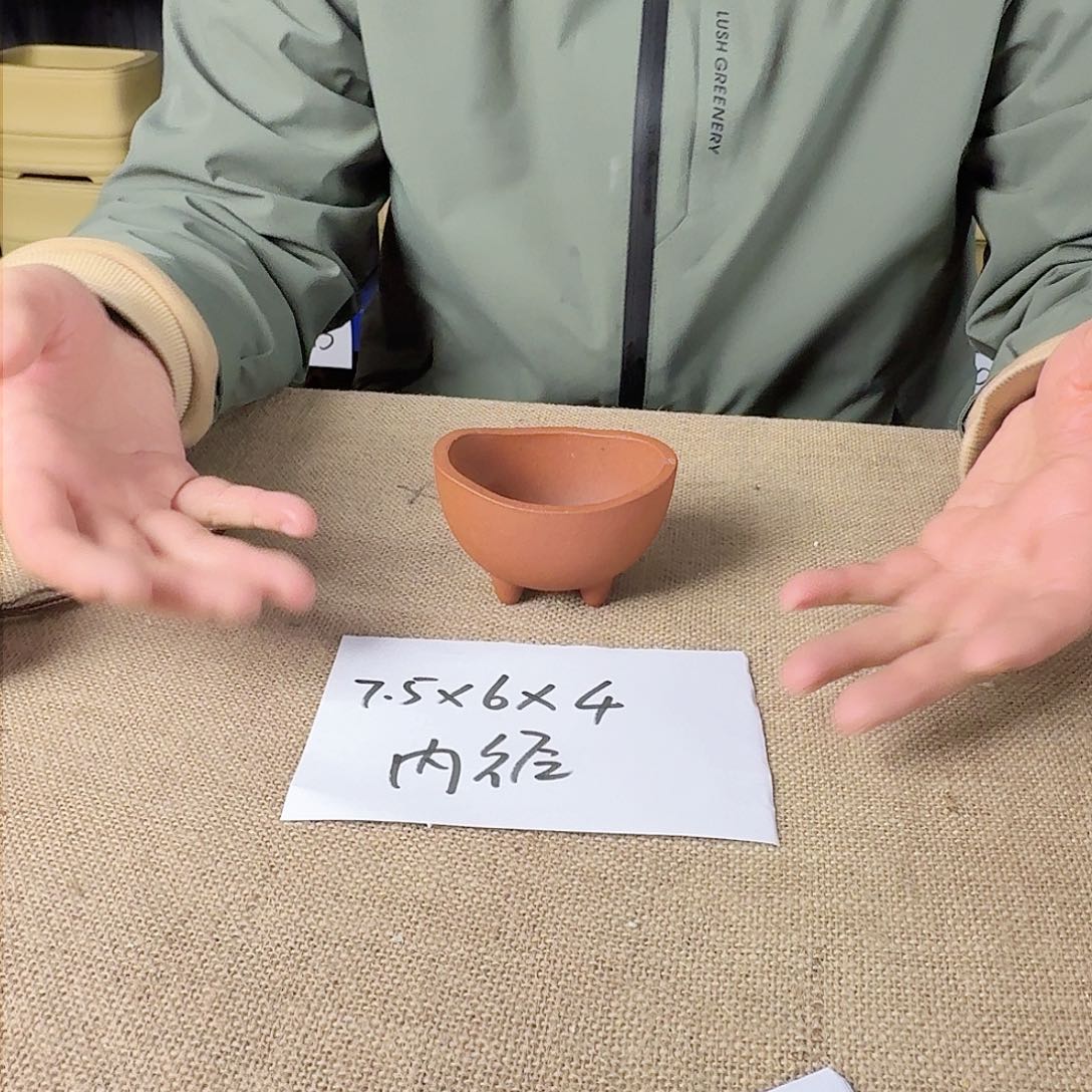 宜兴紫砂闪购链接 