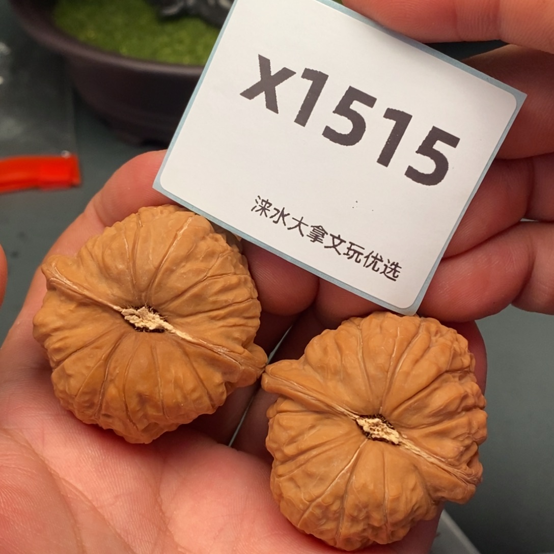 家***宝把件文玩核桃501515