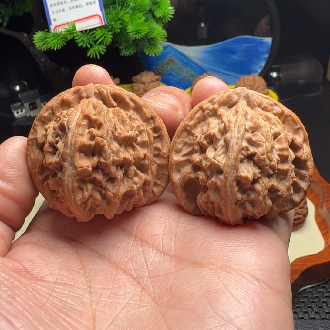 把件文玩核桃全品白狮子45