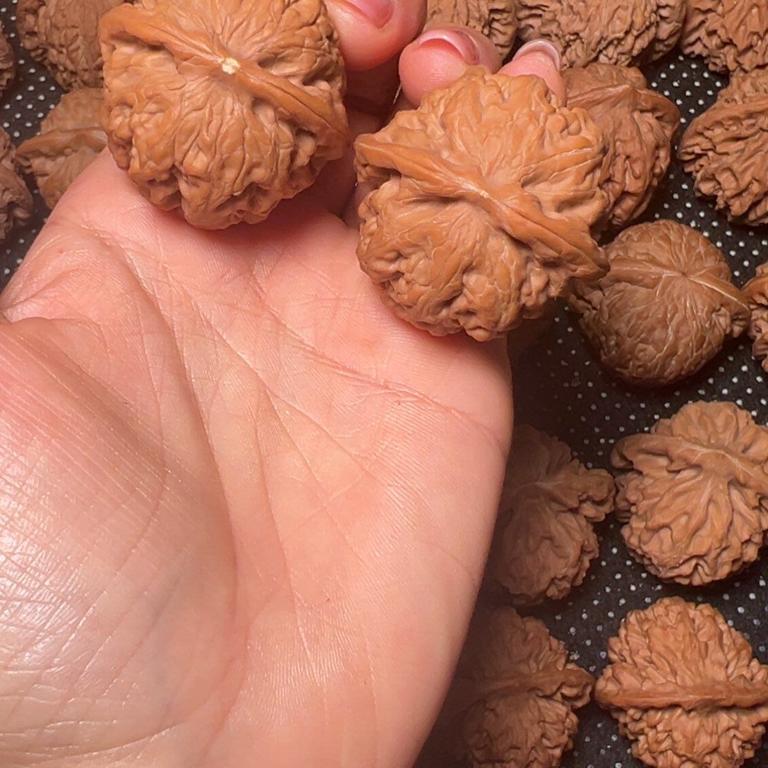 自***队凤凰台，边39，肚38，高37