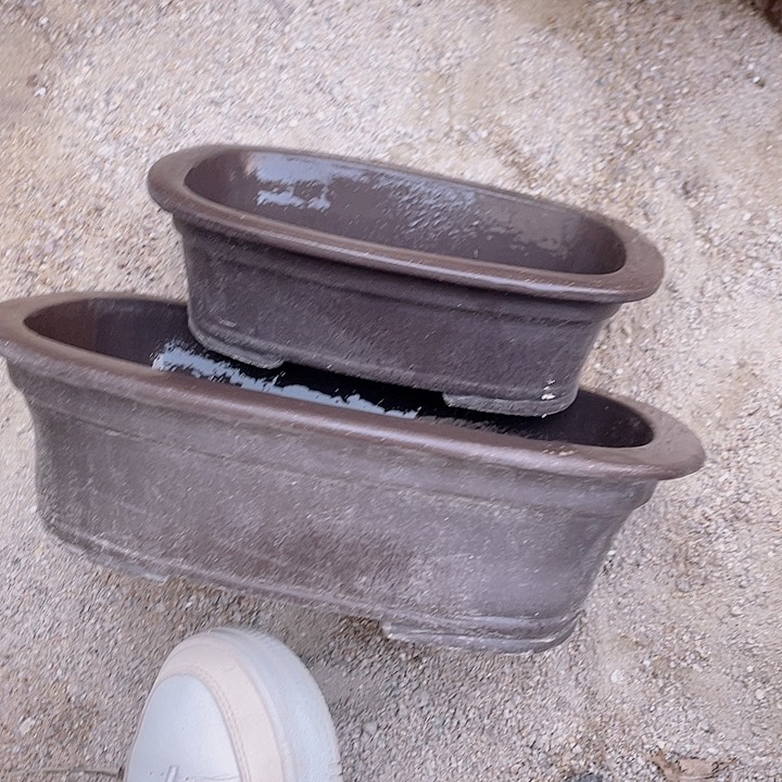 紫砂b就要海洋食品海洋食品