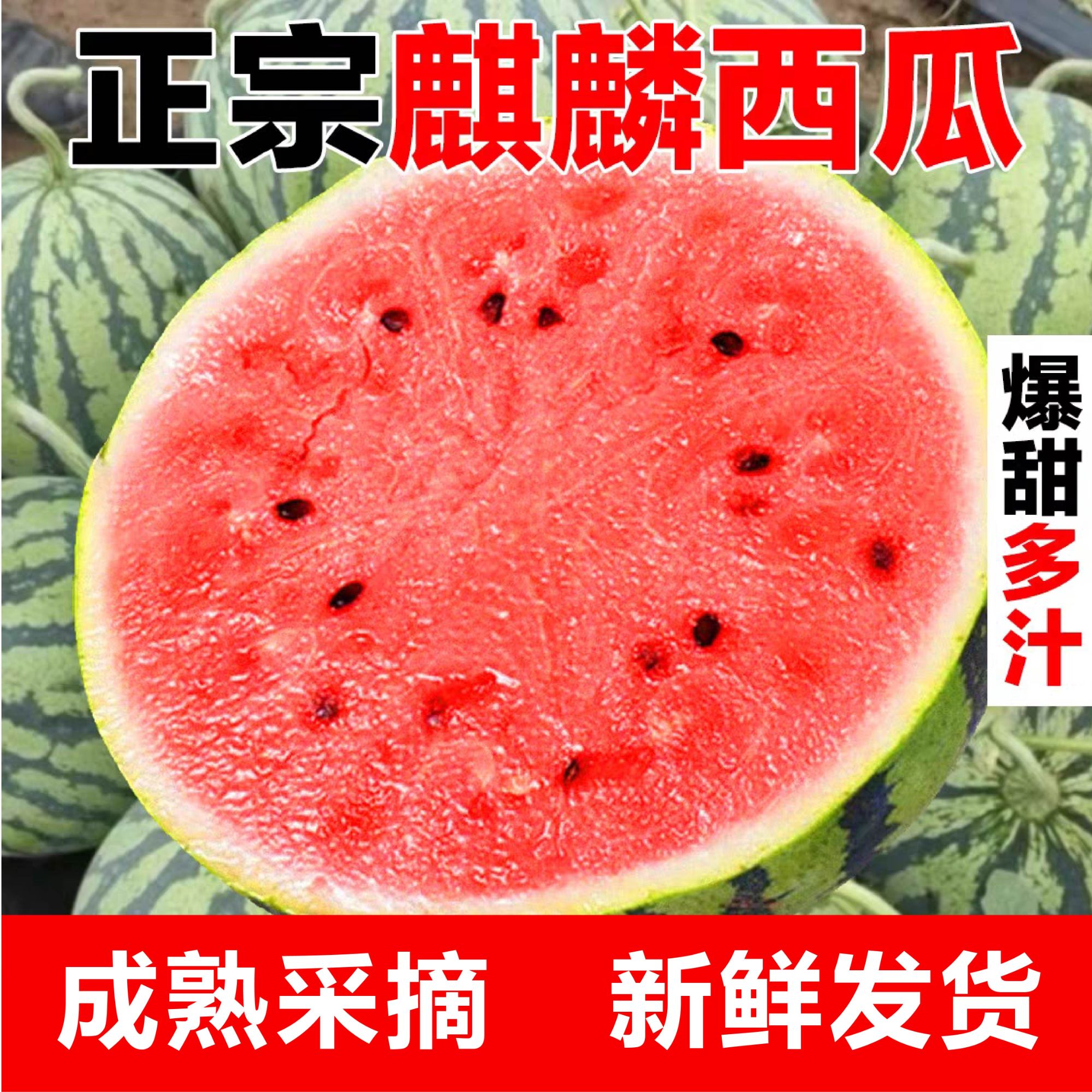 【宠粉福利】有籽麒麟西瓜4-9斤西瓜同城送新鲜上海市