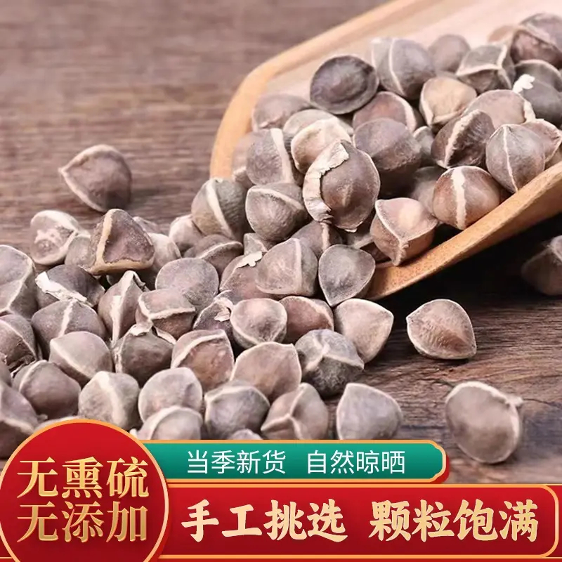 辣木籽正宗特级大颗粒辣木籽天然无硫养生滋补食用