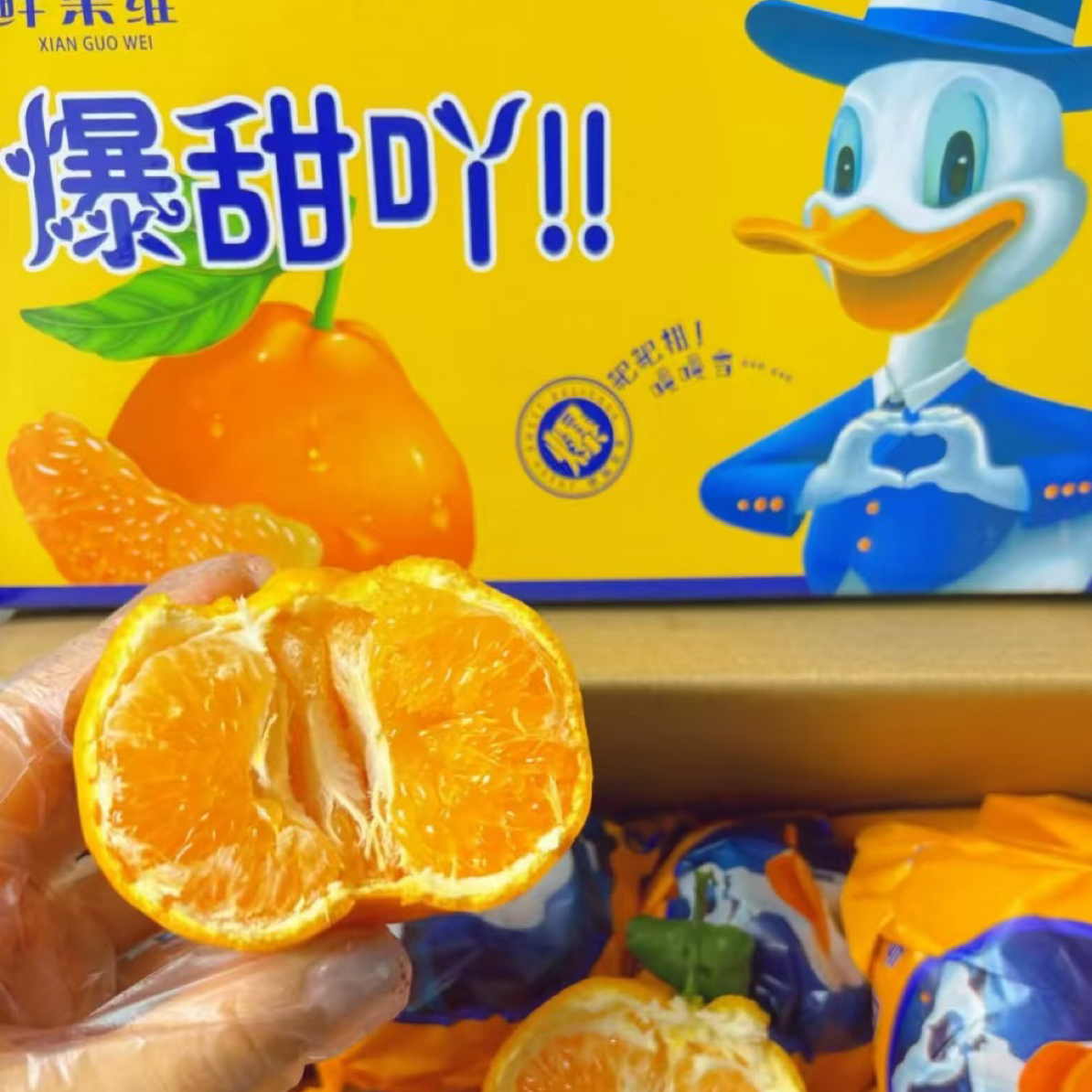 鲜果维丑桔1箱新鲜四川省