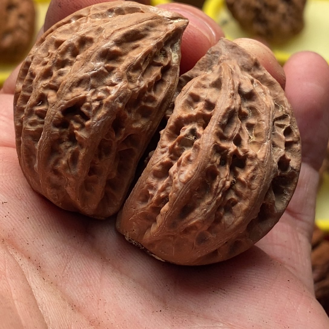 文玩核桃吊坠楸子124