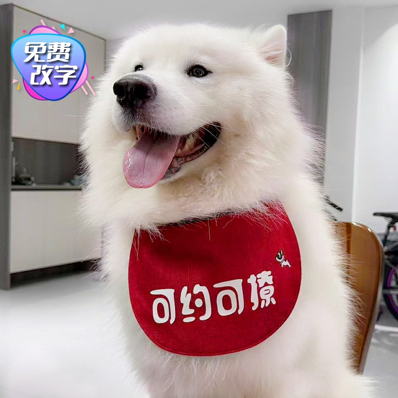 自定义改名字宠物围嘴泰迪三角巾博美金毛防水围嘴大狗萨摩耶围兜