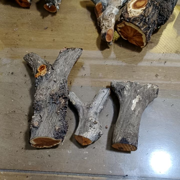 风***梦香榧木崖柏原叉崖柏原叉崖柏原叉