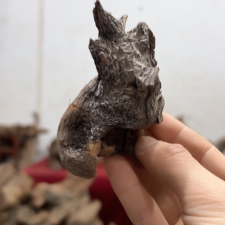 柏木禾*我们都是好孩子呀我也是想