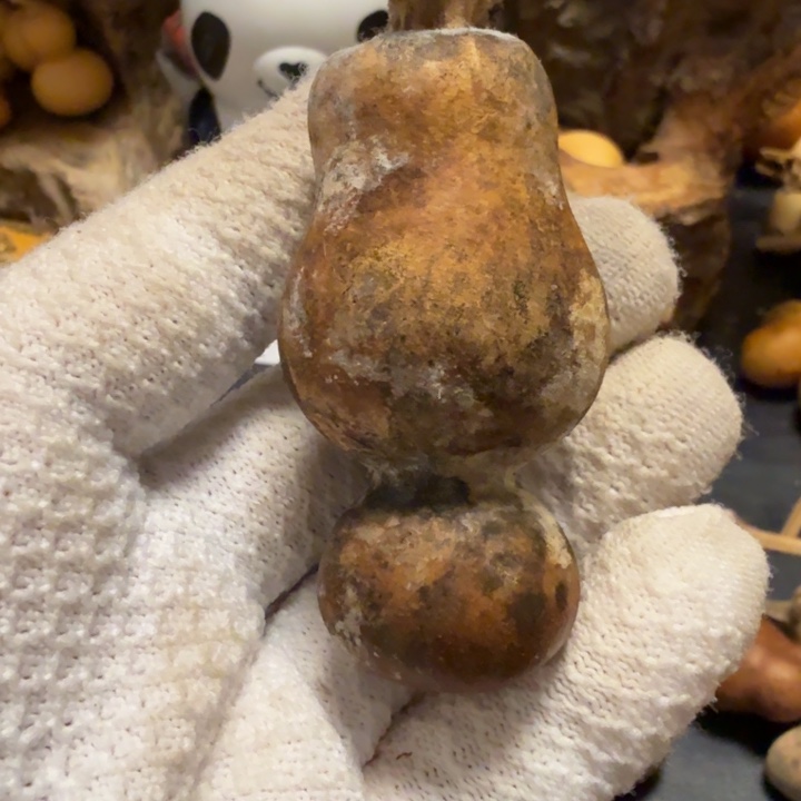 友****6766666667777777888