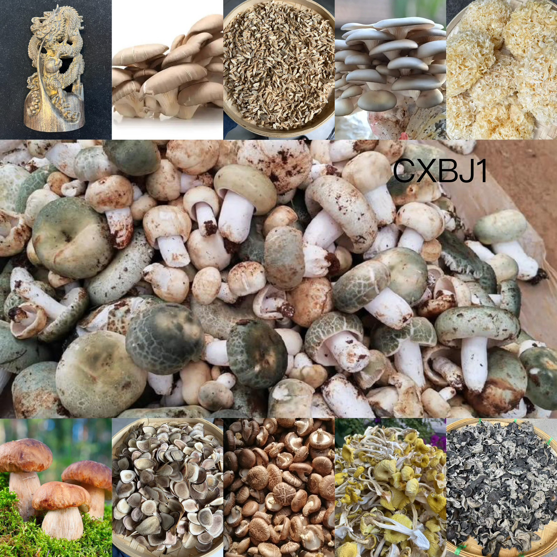 《阿浩专用土特产CXBJ1》多样性发货 重量400克左右