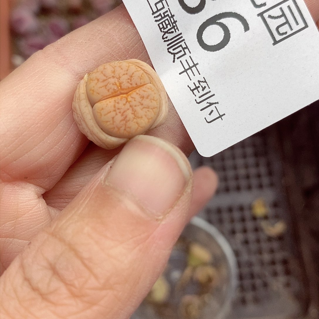 我会把钱花了在还给136