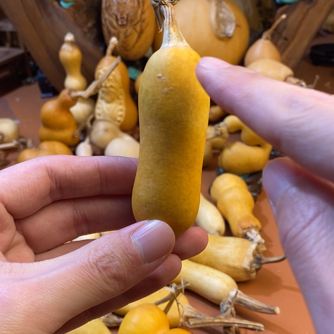 柱***子教练教练教练经理