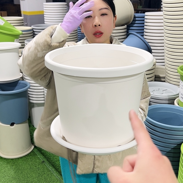 特价6号四季口32.5高27.7白色5只带托