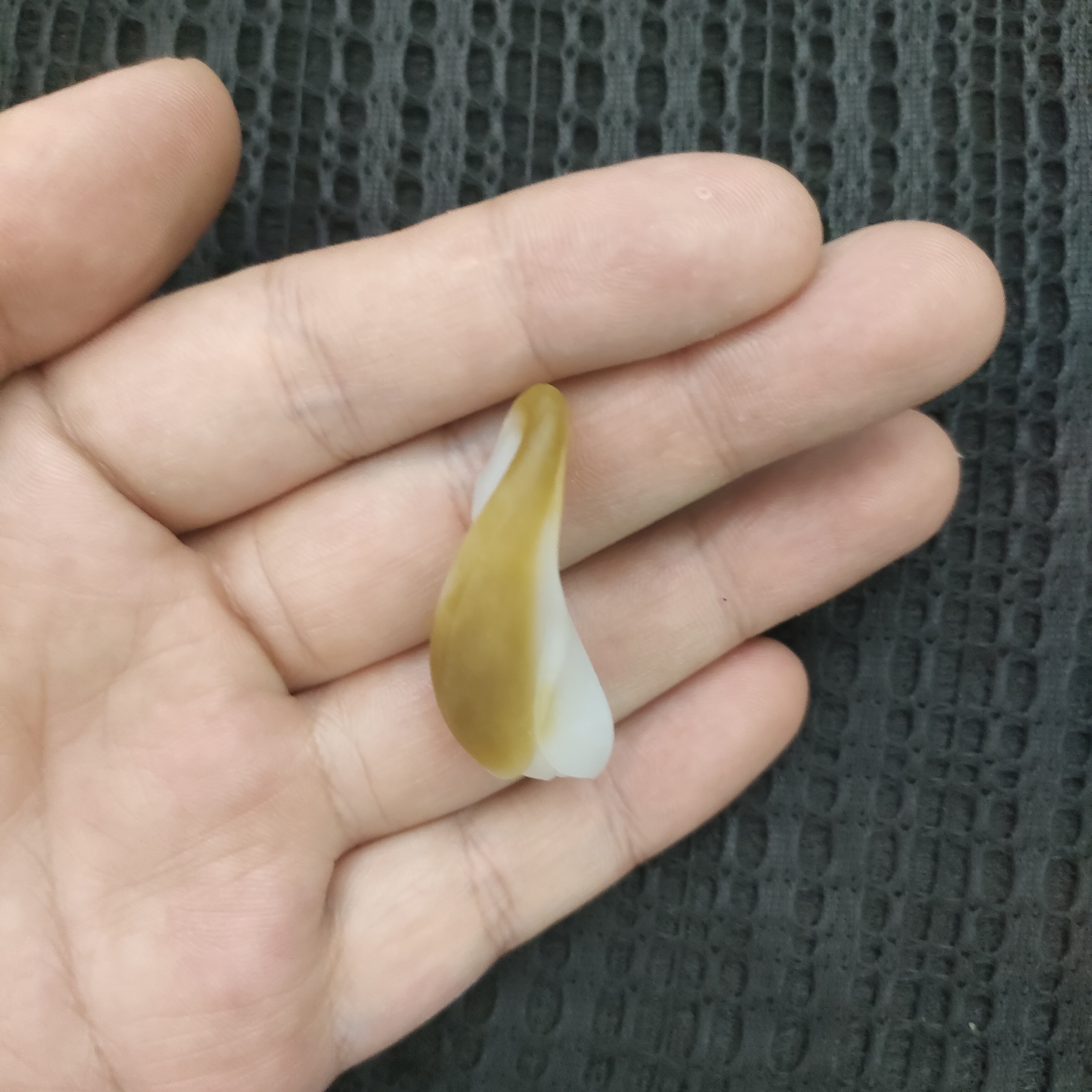 和田玉白玉玉兰花