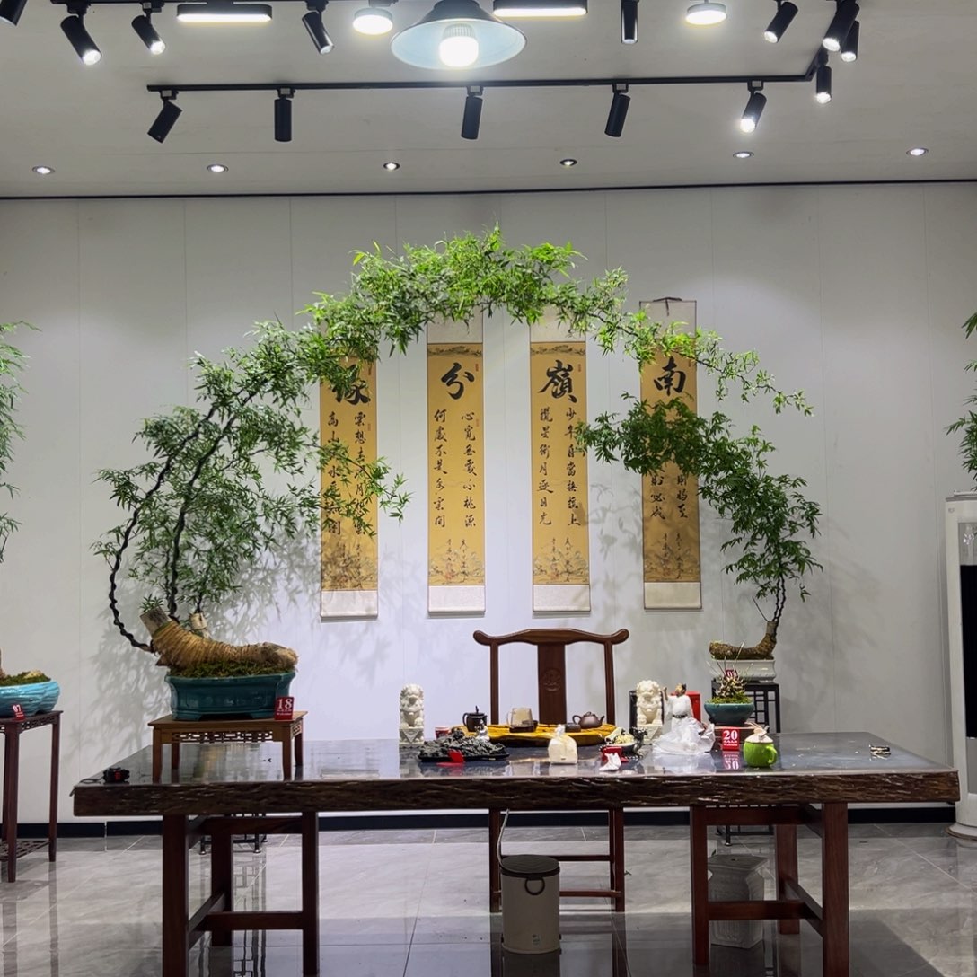 无花朵胖子桩大飘枝