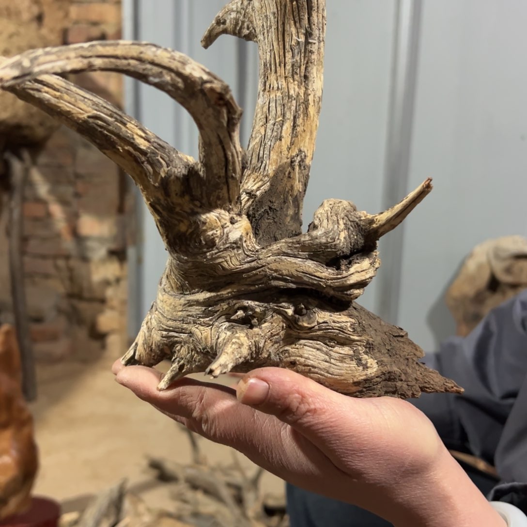 柏木（崖柏）侠*行