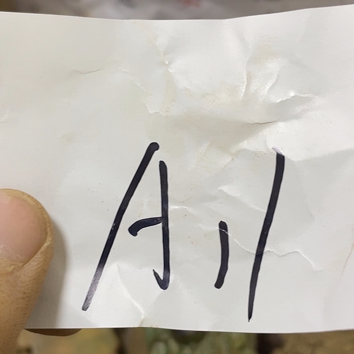 非金属啊啊啊啊啊啊啊啊啊啊