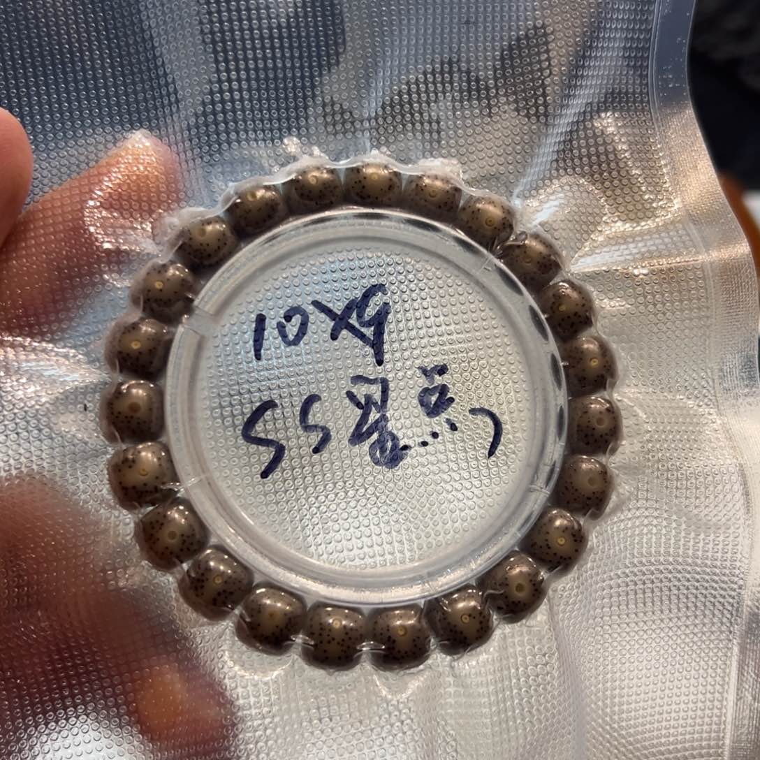 糯冰小细星10/9星月菩提石玉料单圈