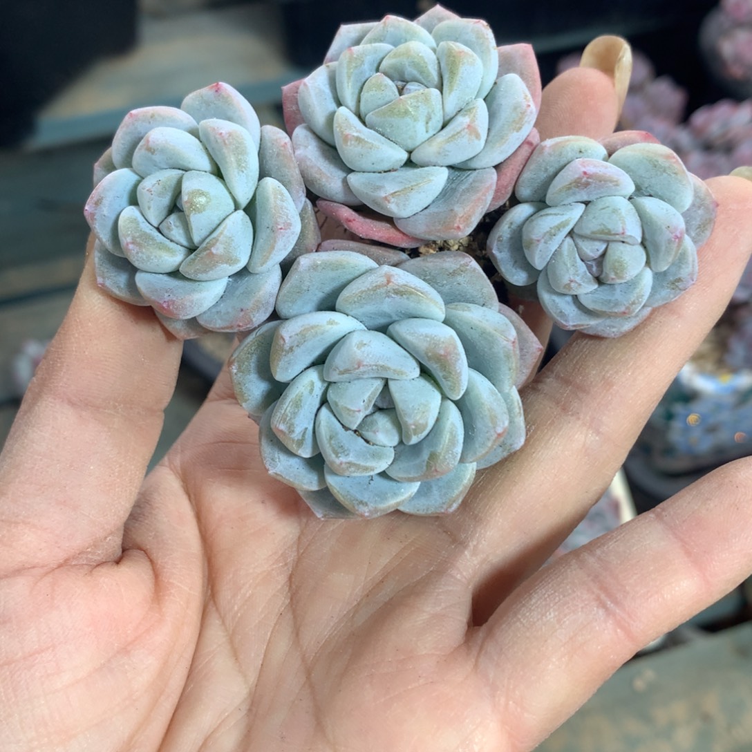 哈哈哈哈哈哈哈哈哈哈