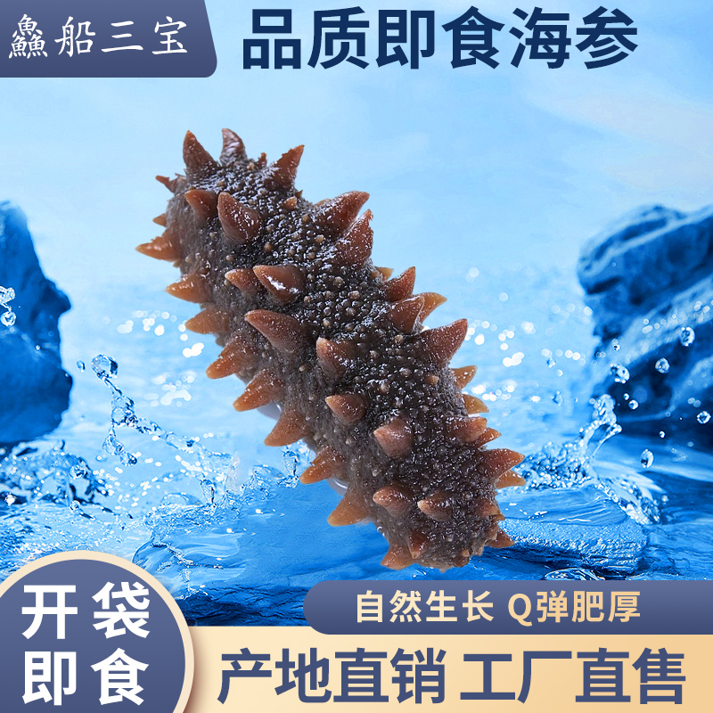 【渔三宝推荐】烟台直发 3斤装即食/鲜食海参 速冻发货 顺丰到家