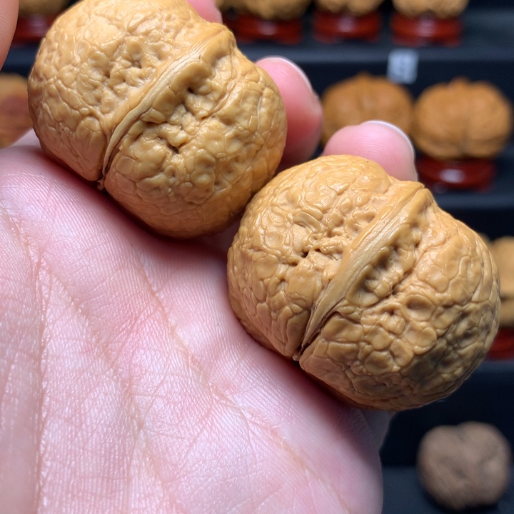 文玩核桃把件40金蟒元宝