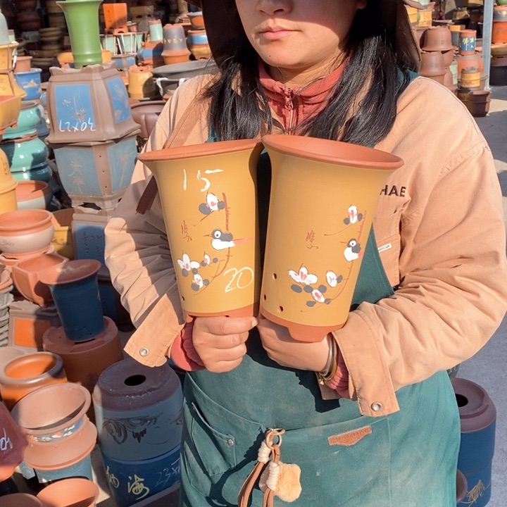 紫砂花盆盆栽花卉苗木种植