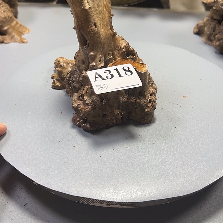 夏***年大果紫檀（缅甸花梨）