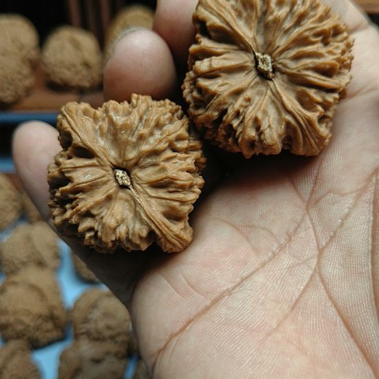 邦***邦完全开放南疆石核桃