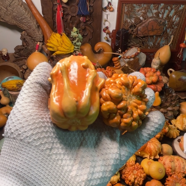 ****窝白菜葫芦葫芦葫芦