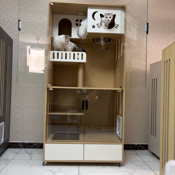 实木18毫米背板环保板材坚固实用型屋柜室内不猫别墅家用室内