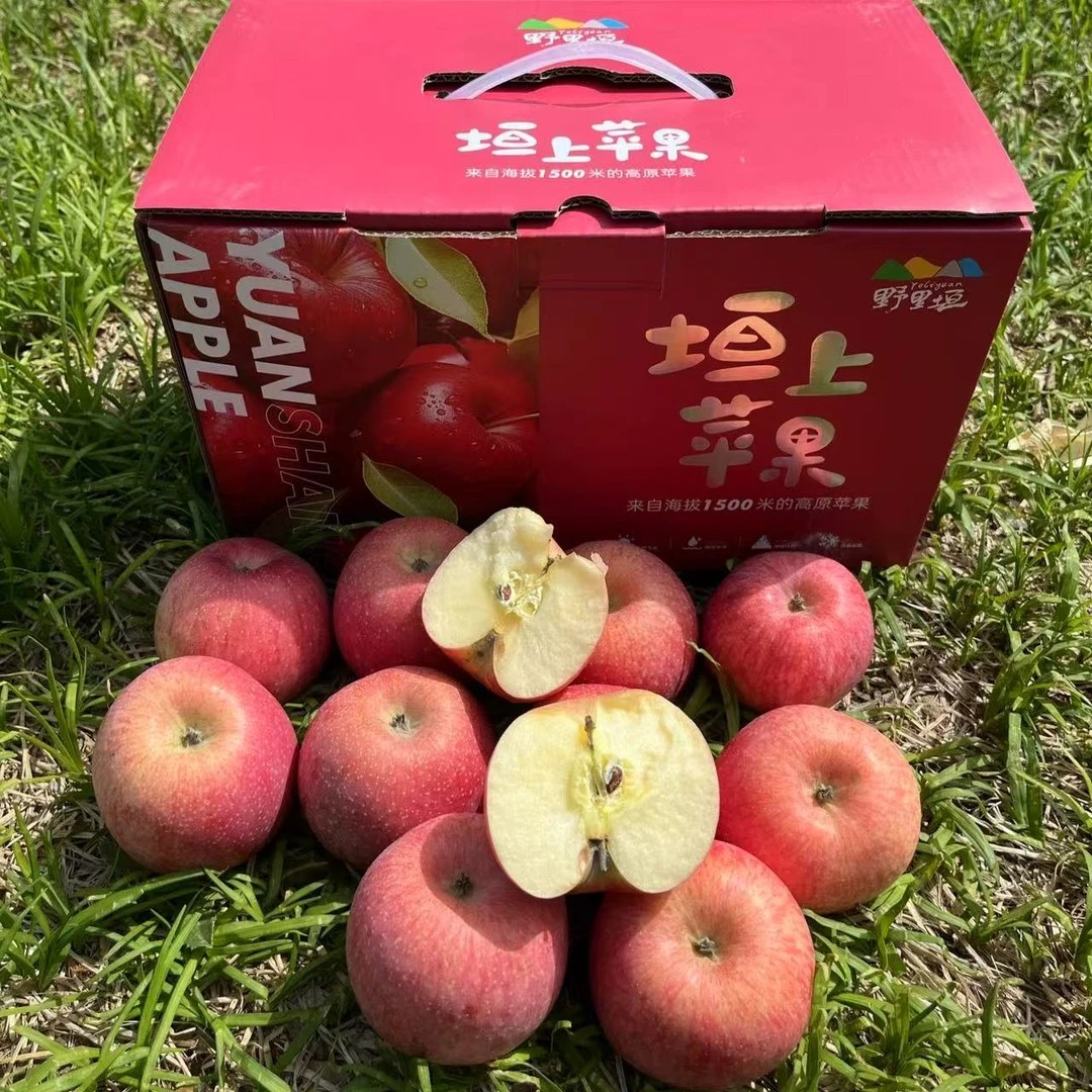 野里垣 坦上苹果4.6斤毛重；高原红苹果脆甜多汁，新鲜水果红富士苹果平安果北京市
