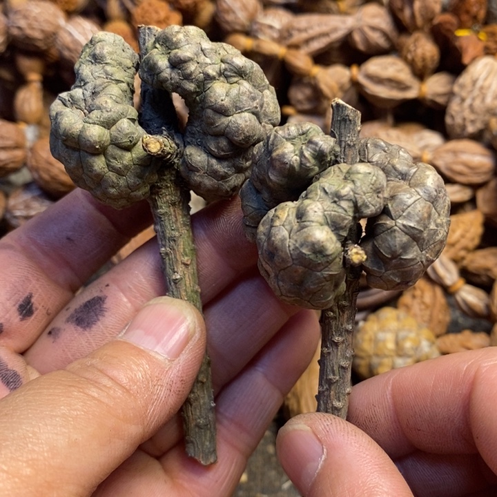 桃核吊坠东北特产185