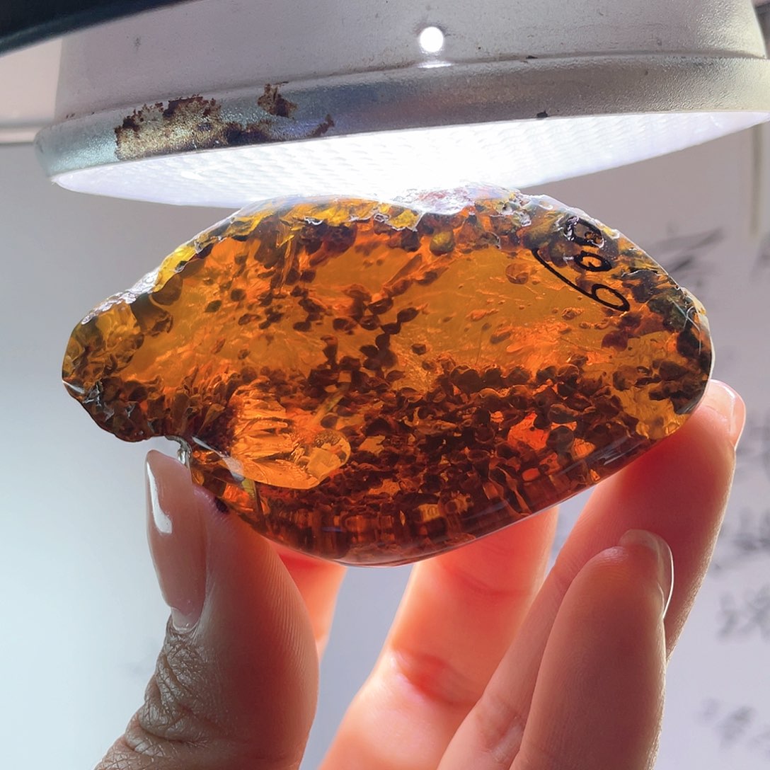 琥珀裸石未镶嵌？