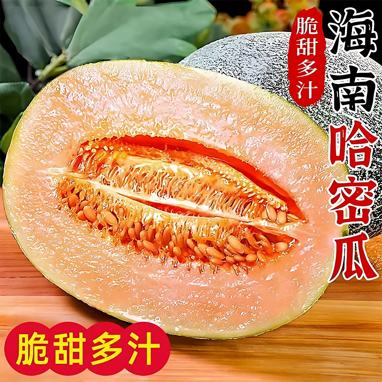 海南沙地种植哈密瓜皮薄肉厚香甜可口新鲜水果现摘现发z