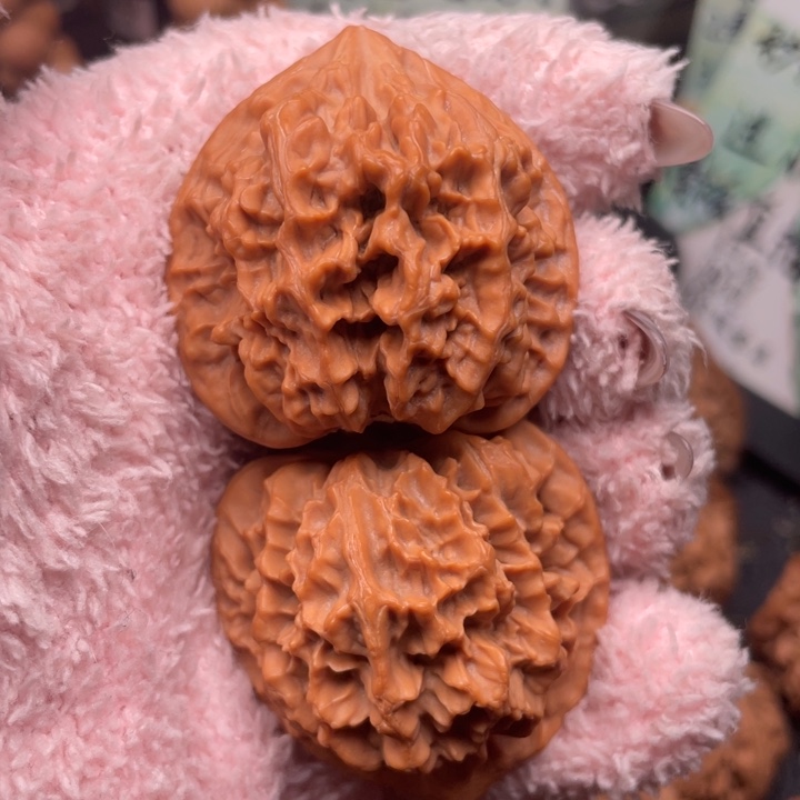 华***飞核桃43尺秦岭野生帝王