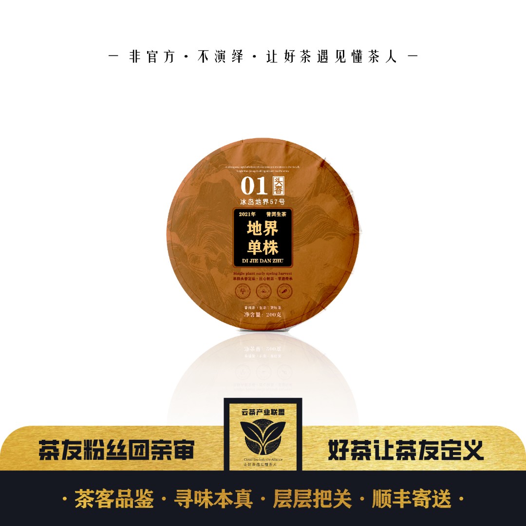 【地界57号】冰岛地界单株 2021年01号单株头春普洱茶生茶200克饼茶