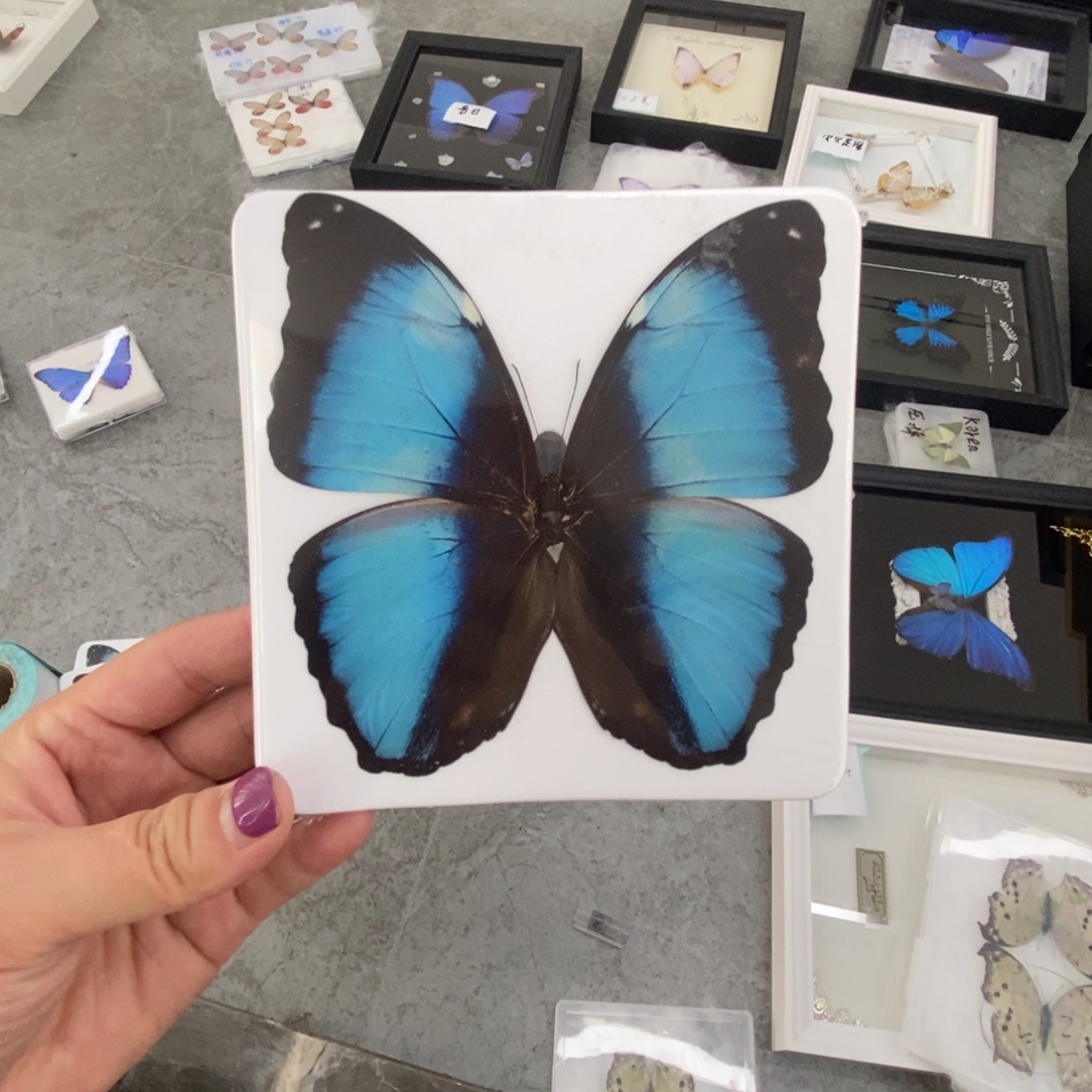 双层款铝合金蝴蝶111111