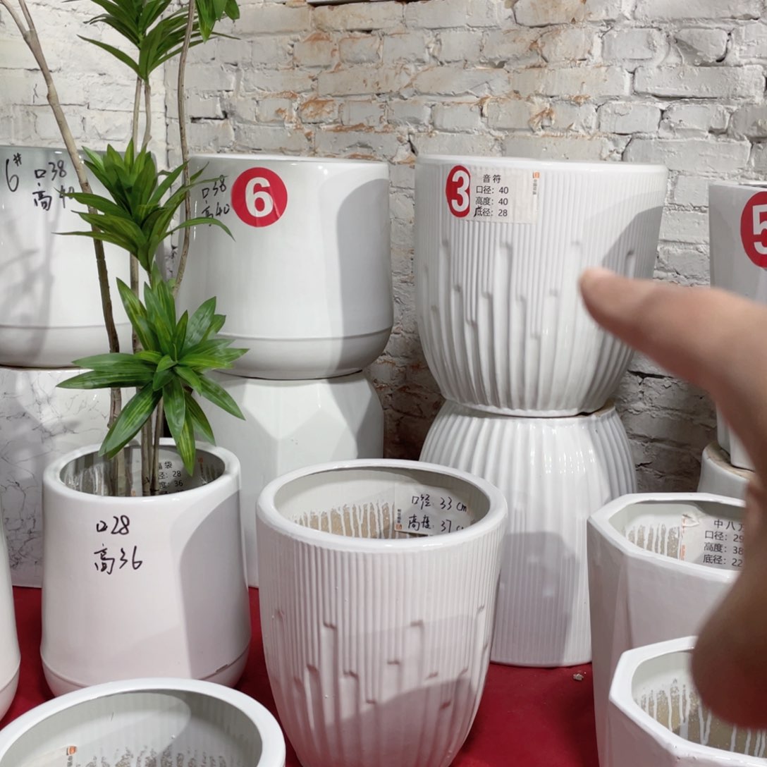 红陶?**酸三号特大号音符正常款