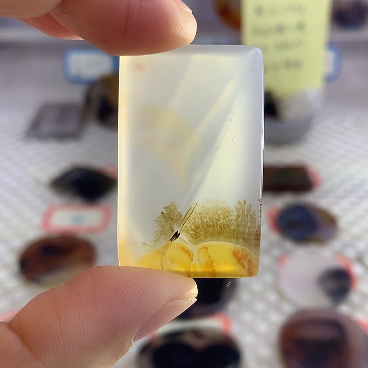 玛瑙/玉髓未镶嵌颈饰