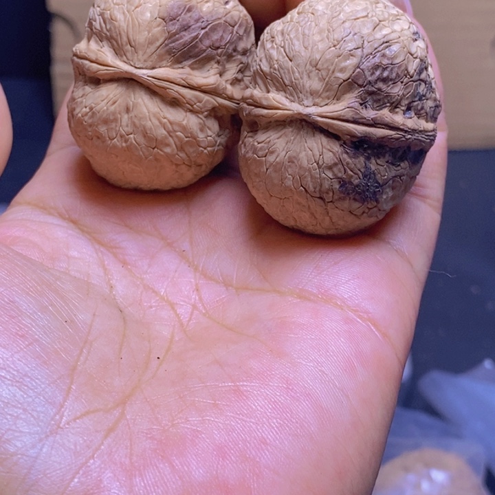 把件文玩核桃Y22-41mm