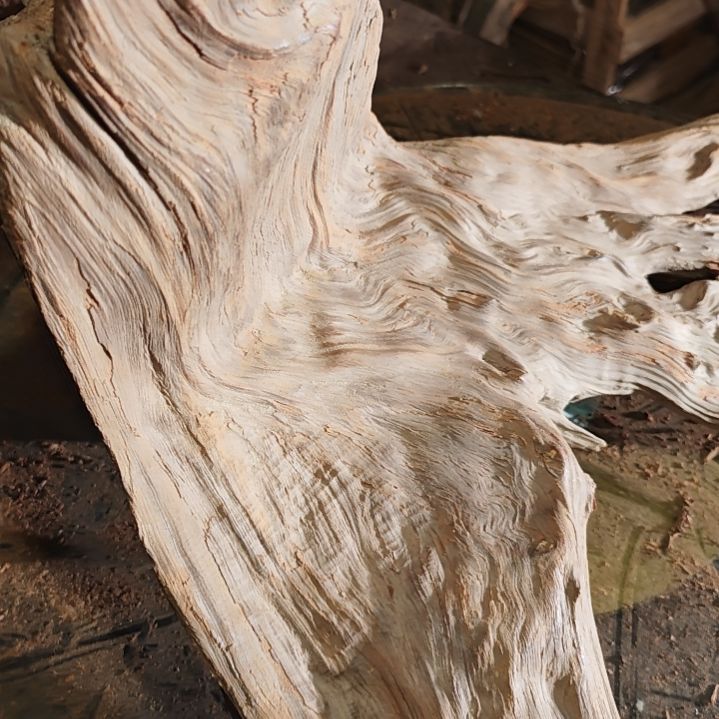 G***e北太行陈化崖柏根料